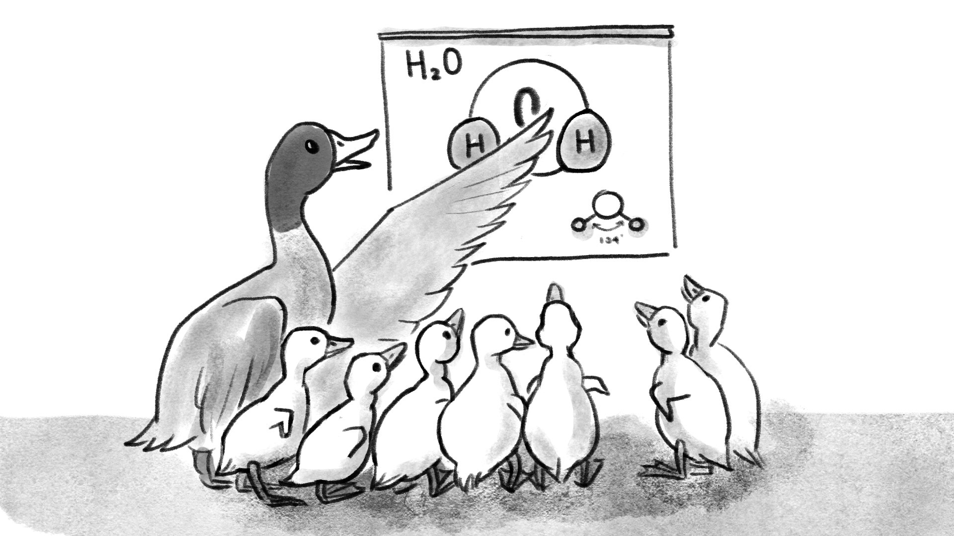 A picture: a duck shows the ducklings how a water molecule looks like